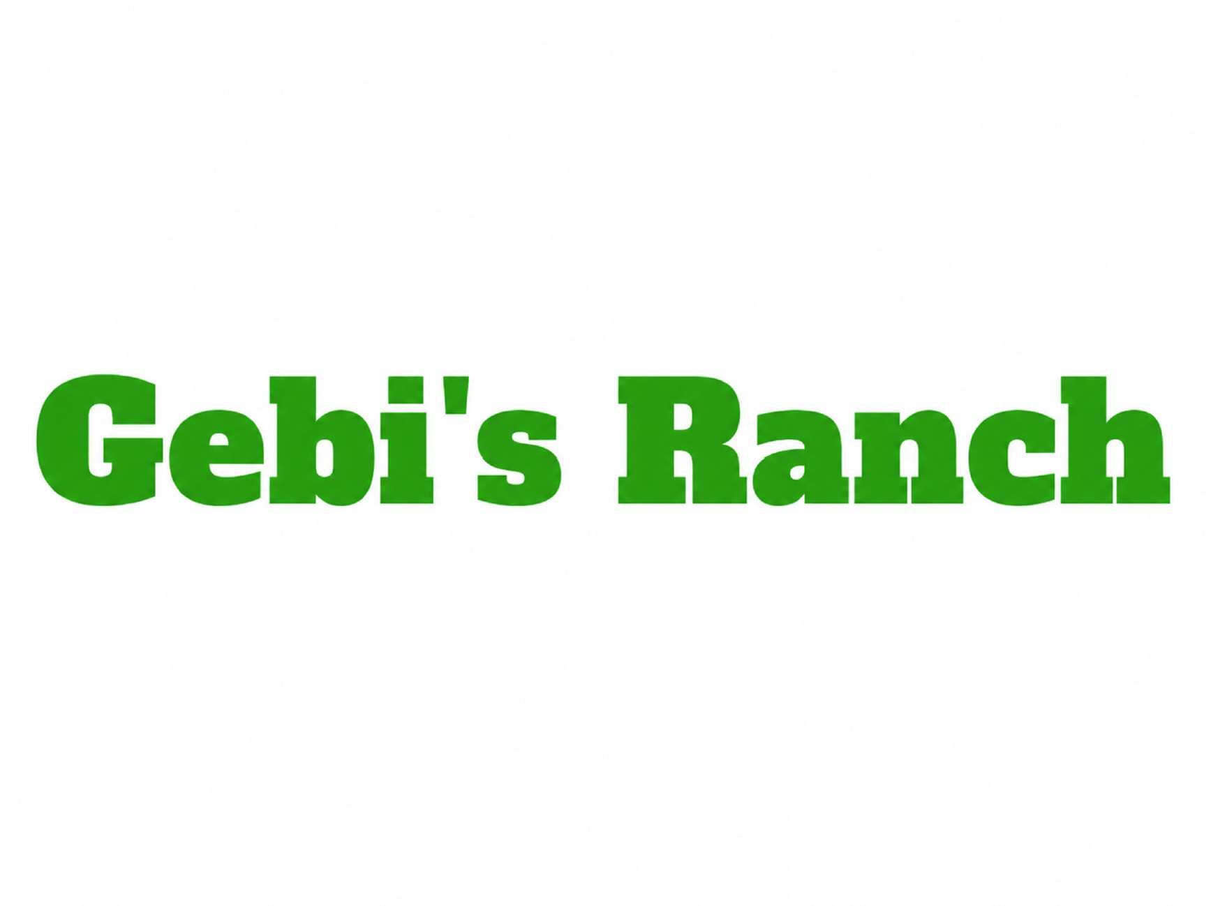 Sponsor Logo